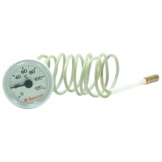 Termometru centrala termica Immergas ZEUS